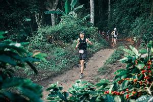 BIB: 
                            <button type="button" onclick="openModal(25796934)" class="btn btn-primary btn-sm float-right btn-popup" data-toggle="modal" data-target=".modal-high-quality">
                        <i class="fas fa-shopping-cart"></i> Add to Cart
                    </button>
                                            <button type="button" onclick="isThisMe(25796934, true)" class="btn btn-success btn-sm float-right btn-popup btn-isme hidden" data-toggle="tooltip" data-placement="bottom" title="นี่คือรูปของคุณใช่ไหม คลิกที่นี่เพื่อเอาเข้าอัลบั้ม">
                        <i class="fas fa-plus"></i> Add to album
                    </button>
                    <button type="button" onclick="isThisMe(25796934, false)" class="btn btn-warning btn-sm float-right btn-popup btn-isnotme hidden">
                        <i class="fas fa-ban"></i> Remove from album
                    </button>